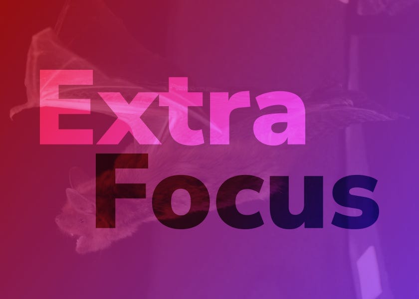 Extra Focus: Purpose and Positivity